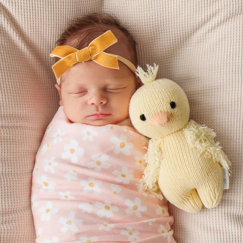 Cuddle   Kind Baby Duckling